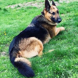 Meet your Posher, Cara